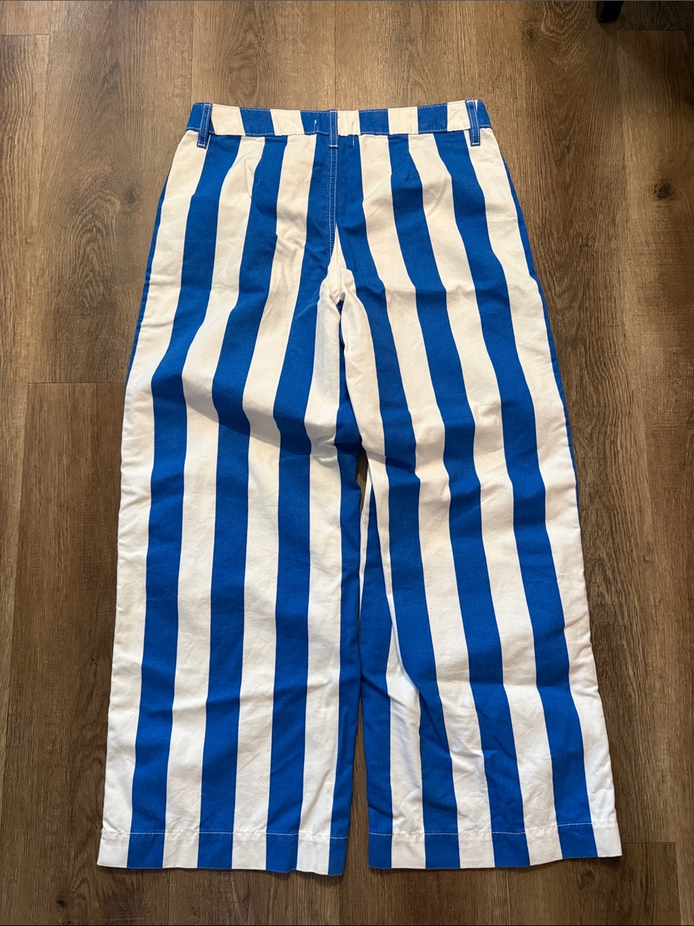 Urban Outfitters BDG Eva Canvas Wide Leg Crop Pant Blue Striped Pants Size 27 - Picture 5 of 15